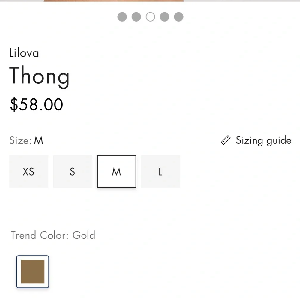 NWT HANRO Lilova Thong Golden Lace Size Large Luxury Lingerie Panties
